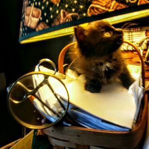 Meet your Posher, Melinda